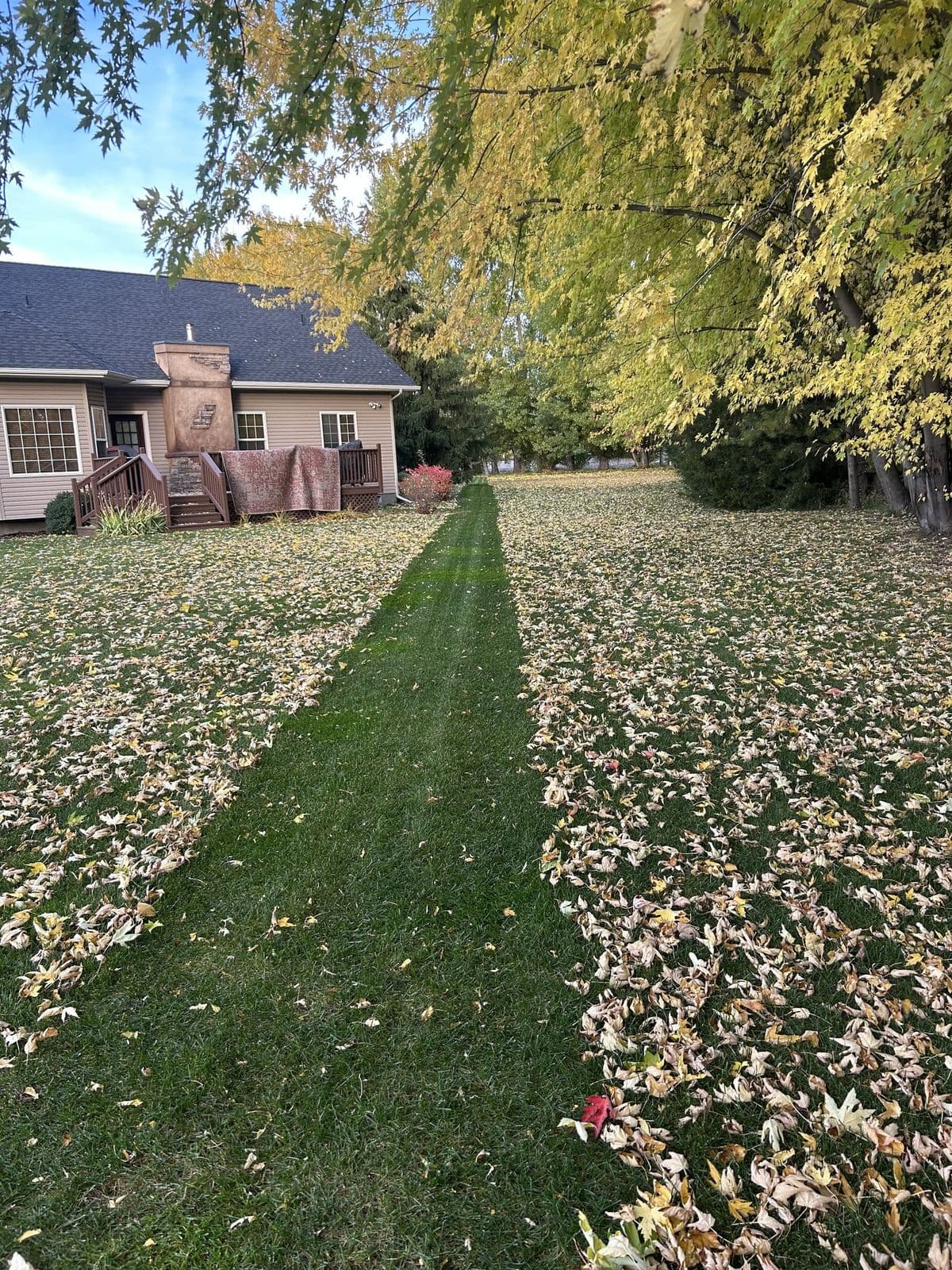 Crisp line cut through fallen leaves on a Rexburg lawn — Young Buck Lawn Care fall cleanup