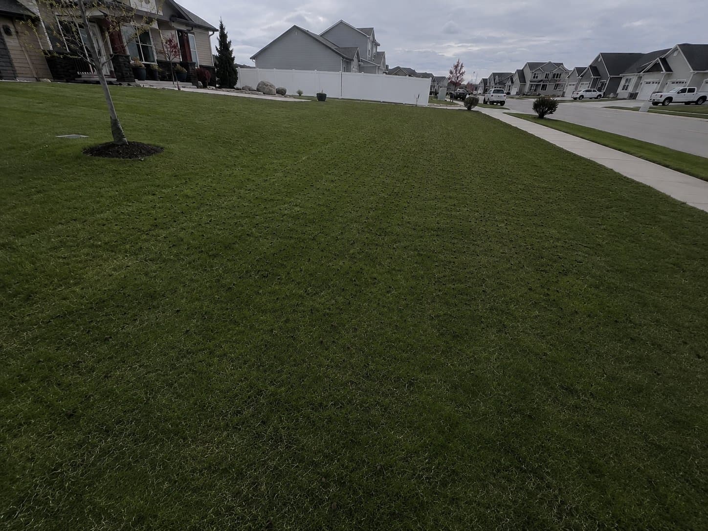 Core lawn aeration in Eastern Idaho — Young Buck Lawn Care